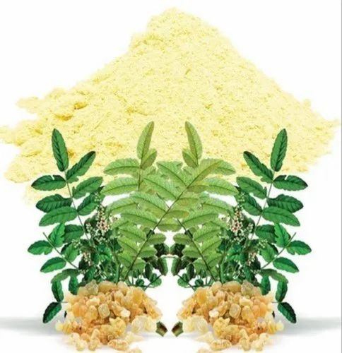 Boswellia Powder Extract