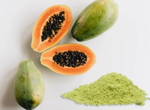 Papaya Extract Powder
