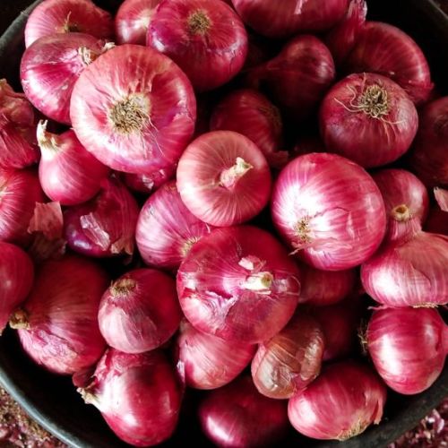 Fresh Red Onion