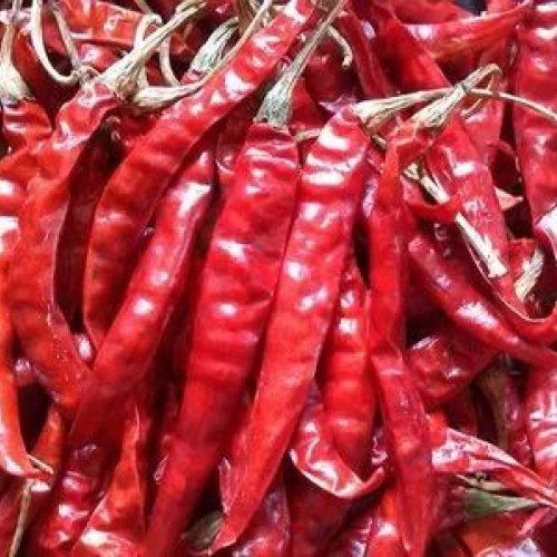 dry red chilli