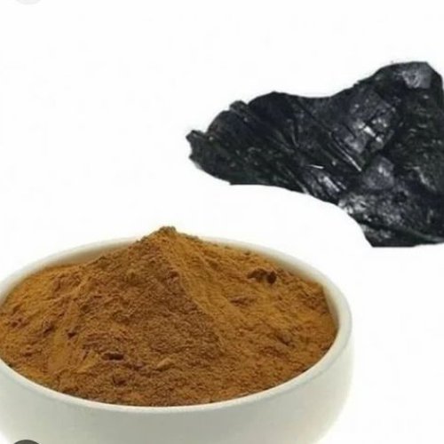 Shilajit Extract Powder