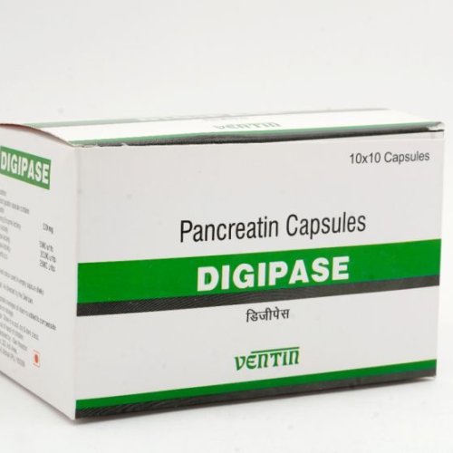 Pancreatin 500 Mg Capsules