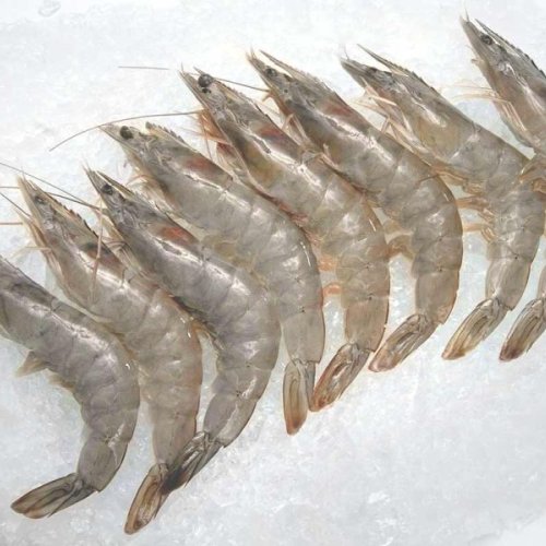 Vannamei Shrimp Prawns