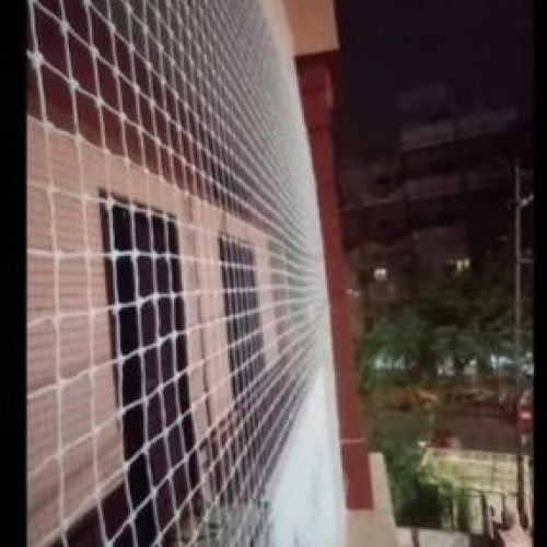 Anti Bird Net