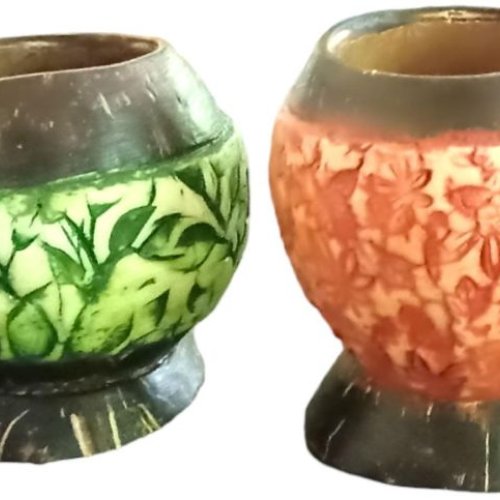 Coconut Shell Planter