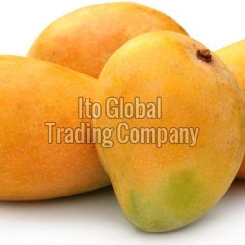 Alphonso Mango
