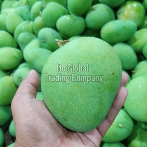 Badami Mangoes