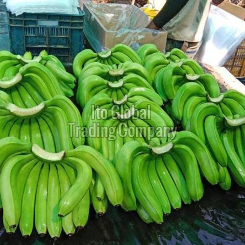Solapur Green Banana