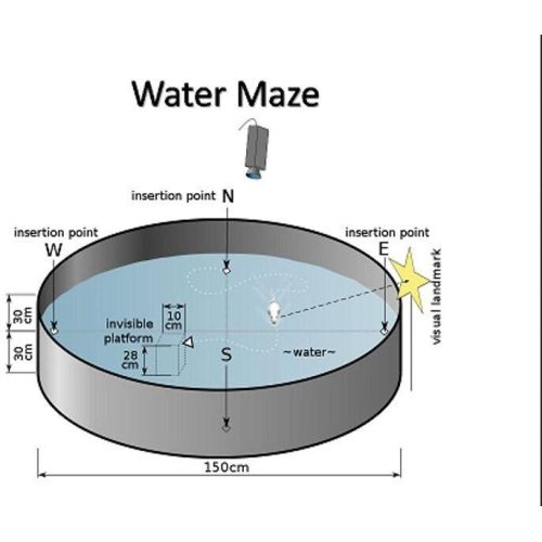 MORRIS WATER MAZE FOR RAT &amp; MICE