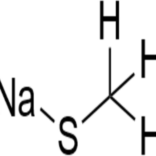 Sodium Methyl Mercaptide Solution CAS 5188-07-8