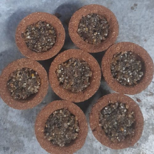 Brown Sambrani Dhoop Cup