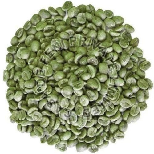 Arabica Plantation Beans
