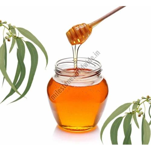 Eucalyptus Honey