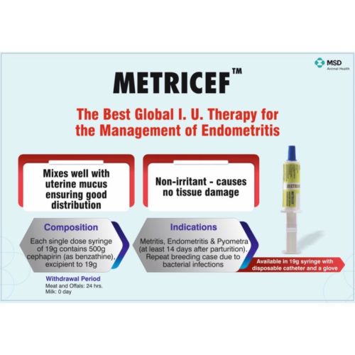 METRICEF SYRINGE - 19G
