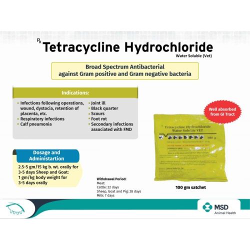 TETRACYCLINE HCL PWD W.S. 100G