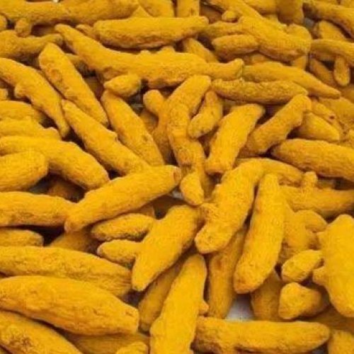 Salem Dried Turmeric Finger