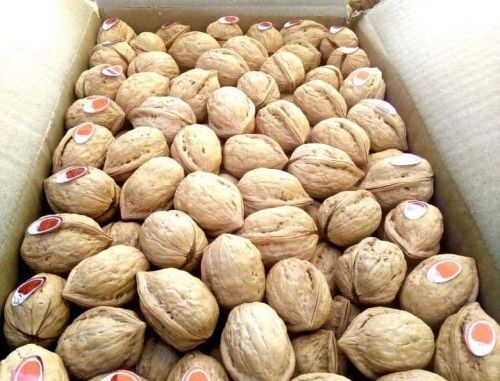 A Grade Walnuts