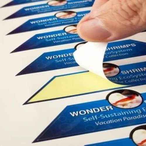 Display Sticker Printing Service