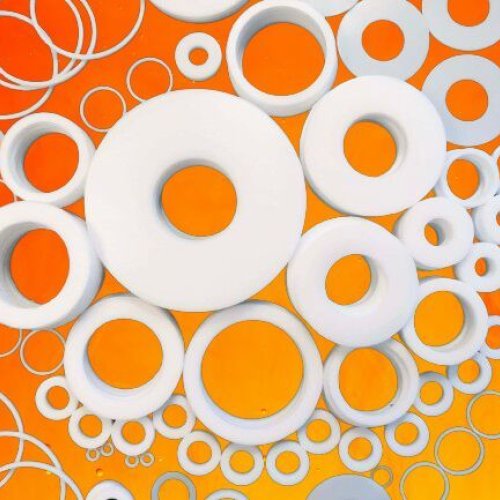 PTFE Teflon Washer
