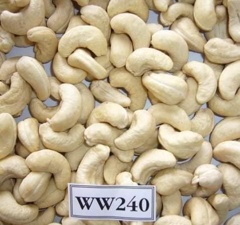 Cashew Nuts Kernel