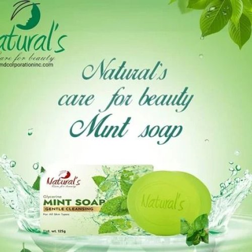 Natural\'s Care For Beauty Mint Soap