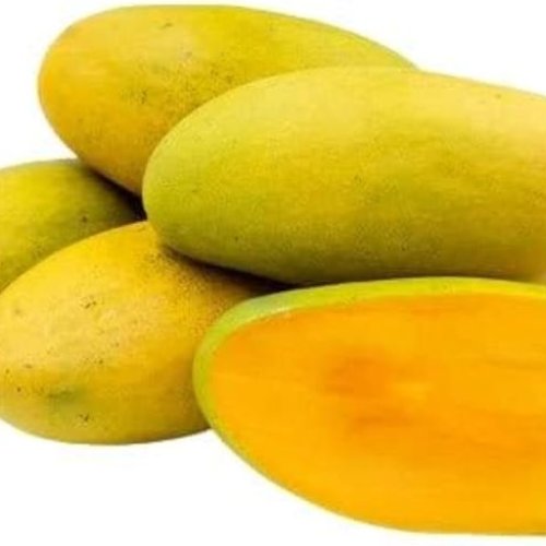 Fresh Dasheri Mango