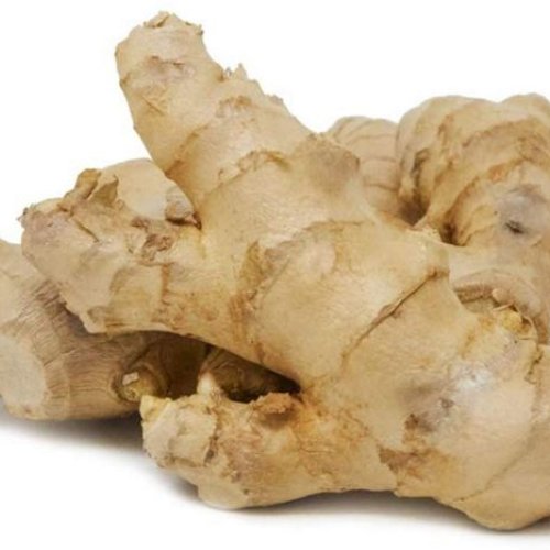 raw ginger