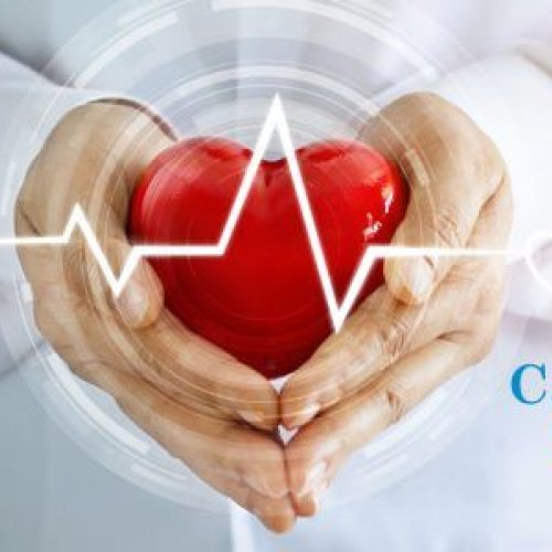 Cardiology Treatment Services