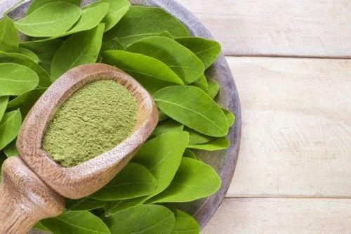 moringa powder