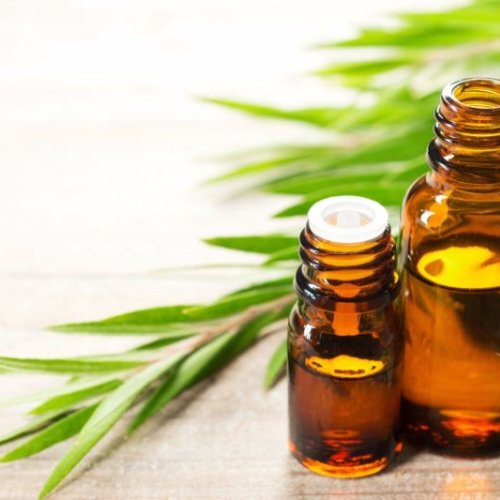 Tea Tree Essential Oil