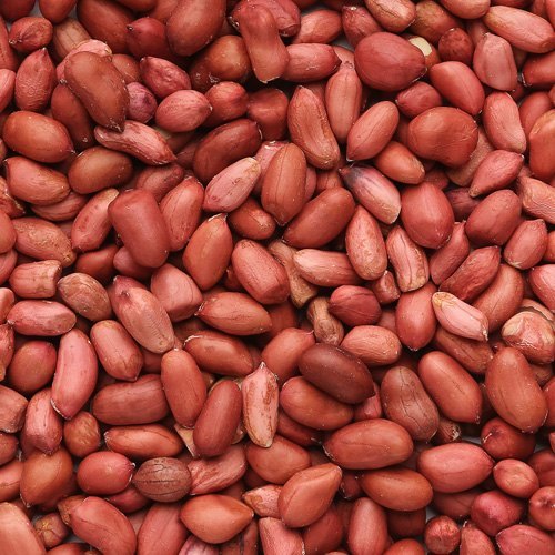 groundnut seeds