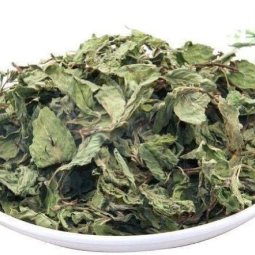 Dried Mint Leaves