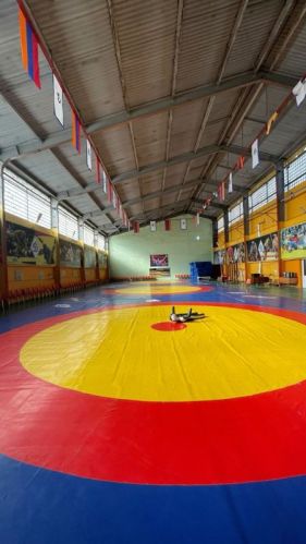 Wrestling Mat