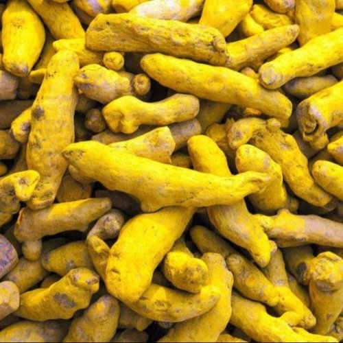 Chintapalli Turmeric Finger
