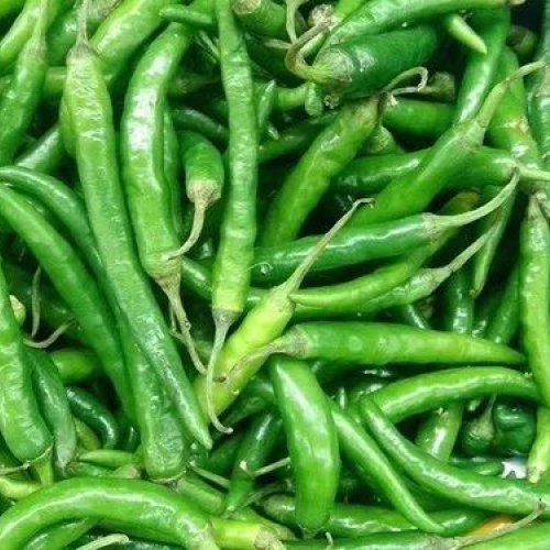 Fresh Green Chilli