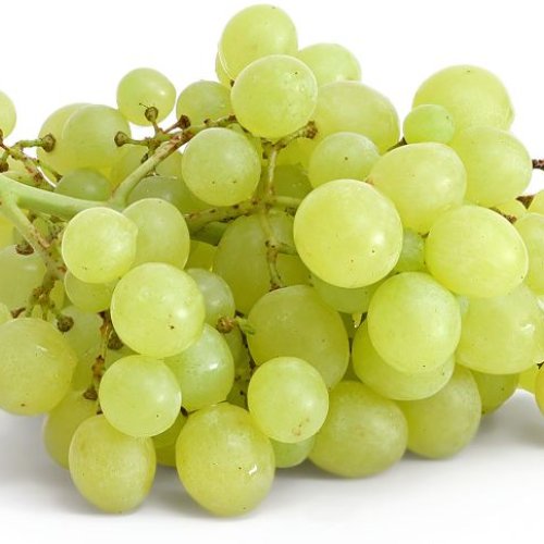 Fresh Green Grapes