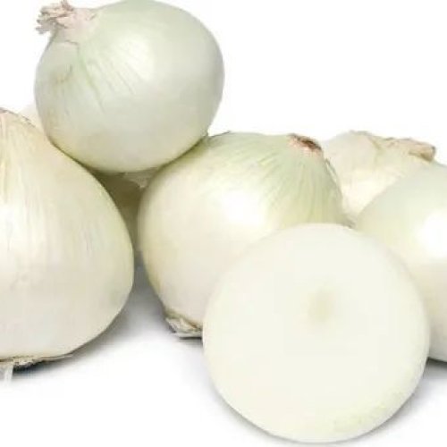 Fresh White Onion