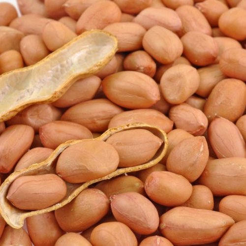 Java Peanuts