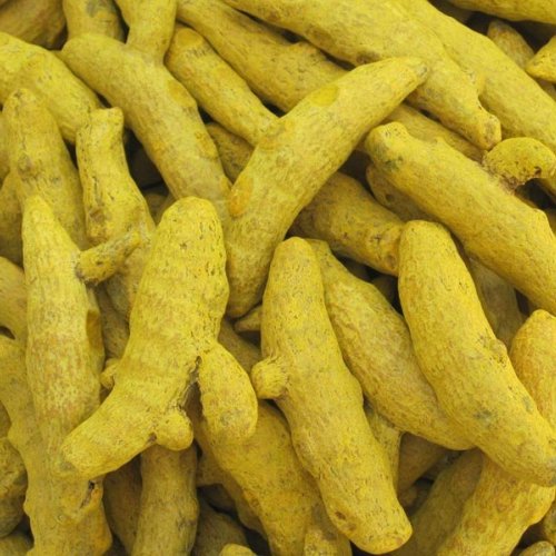Rajapuri Turmeric Finger