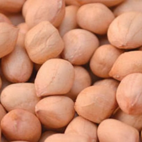 TJ Peanuts