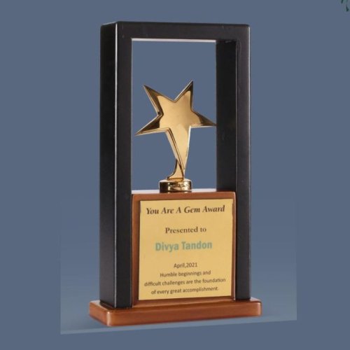 8 X 4.5 Inch Wood and Metal Trophy