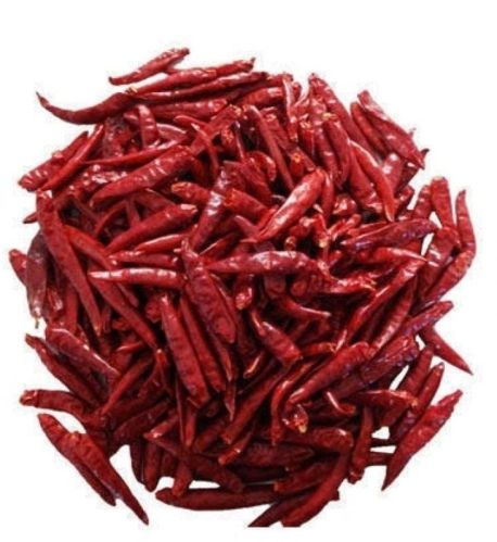 Dry Red Chilli