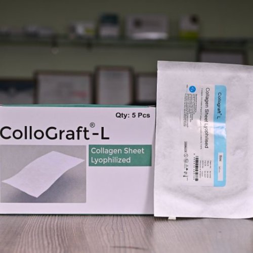 Collograft L Collagen Sheet