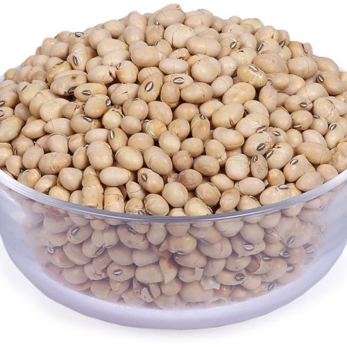 Soybean Seed