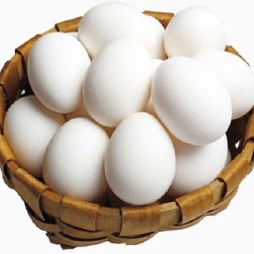 Poultry Eggs