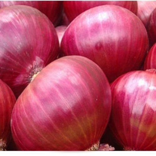 Fresh Pink Onion