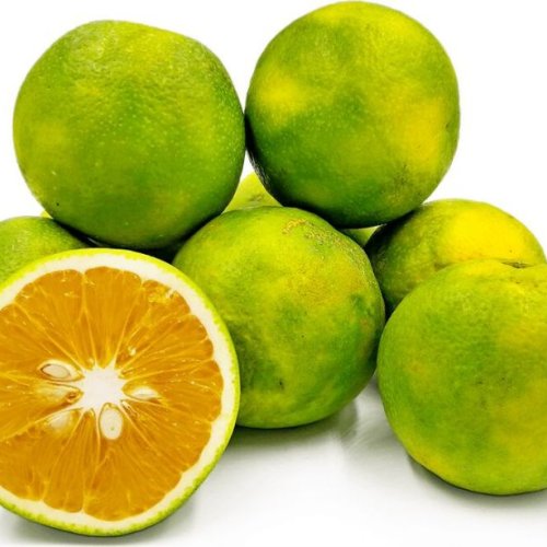 Fresh Sweet Lime