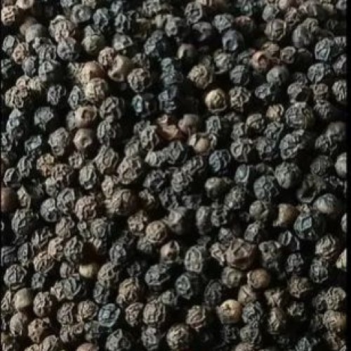 Bold Black Pepper Seeds