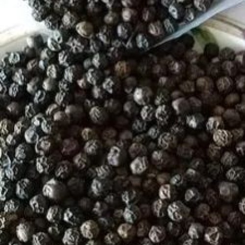 Mini Black Pepper Seeds