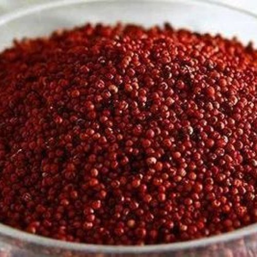 Finger Millet Seeds